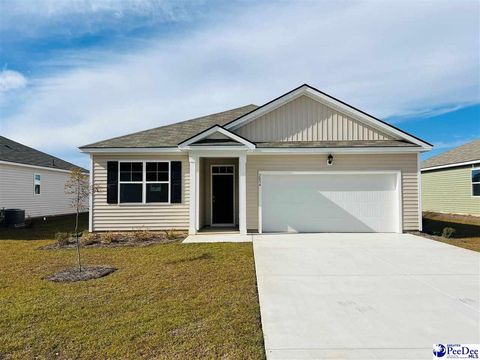 Single Family Residence in Darlington SC 4824 Brighton Road.jpg