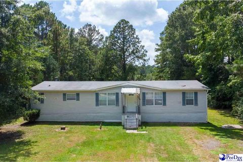 Mobile Home in Darlington SC 500 Wild Cherry Lane.jpg