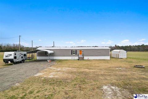 Manufactured Home in Johnsonville SC 608 S Pine St.jpg