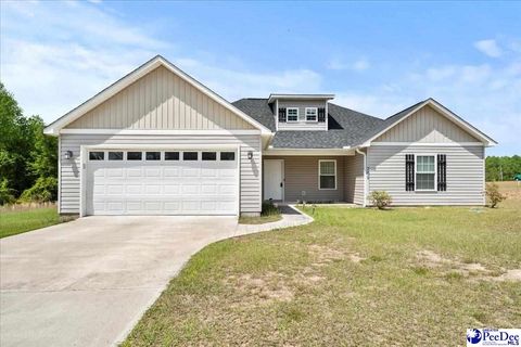Single Family Residence in Latta SC 309 Pocosin Road.jpg