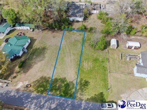  in Marion SC TBD Huggins St Lot 2.jpg