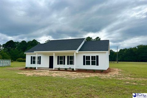 Single Family Residence in Marion SC 3485 Creech Rd.jpg