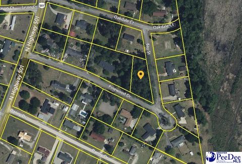  in Marion SC TBD Pinewood Dr.jpg