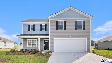 Single Family Residence in Galivants Ferry SC 555 Strawberry Field Way.jpg