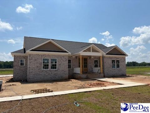 Single Family Residence in Darlington SC 1557 Timmonsville.jpg