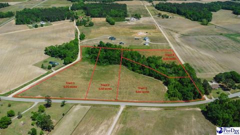  in Darlington SC TBD Hoffmeyer Road Lot 3.jpg