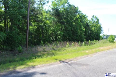  in Marion SC Lot Galveston Ct.jpg