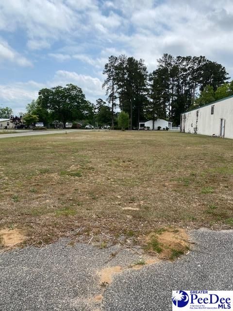 in Mullins SC 216 E Mcintyre Street.jpg