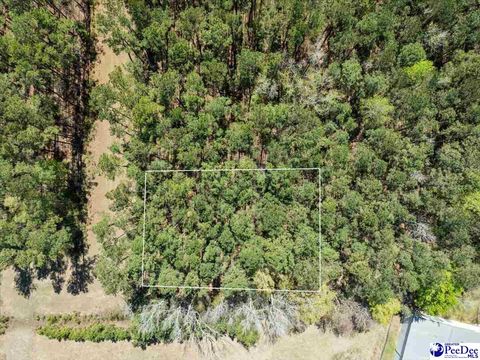  in Johnsonville SC TBD Lot 18 Otwell Dr.jpg