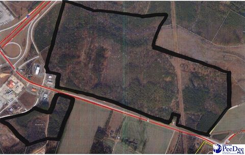 Unimproved Land in Latta SC TBD Highway 38.jpg