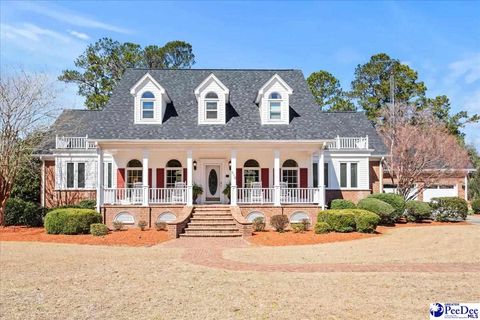 Single Family Residence in Johnsonville SC 513 Myrtle Wood Ln.jpg
