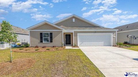 Single Family Residence in Darlington SC 4856 Brighton Road.jpg