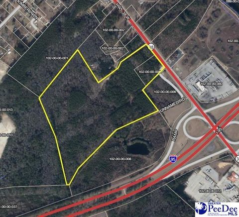 Unimproved Land in Latta SC tbd W Highway 38.jpg