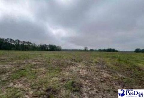 Unimproved Land in Darlington SC 2303 N Governor Williams Hwy.jpg