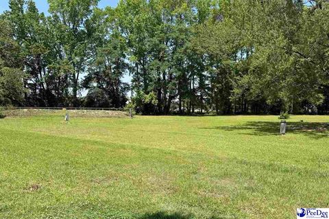 Multi Family in Darlington SC 107 Wallace Park Lane.jpg