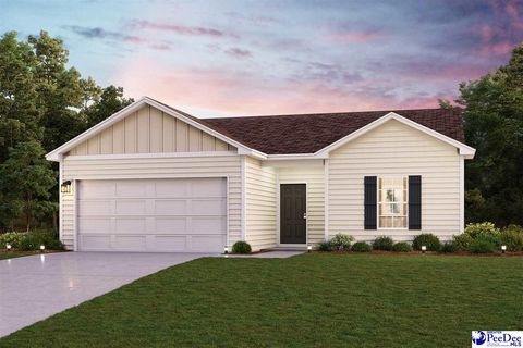 Single Family Residence in Darlington SC 5171 Shallowford.jpg