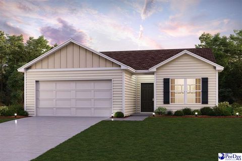 Single Family Residence in Darlington SC 5177 Shallowford.jpg