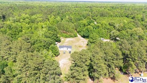 Manufactured Home in Alcolu SC 7262 N Brewington Rd.jpg