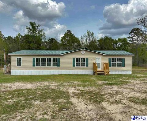 Mobile Home in Latta SC 2518 Highway 38 West.jpg