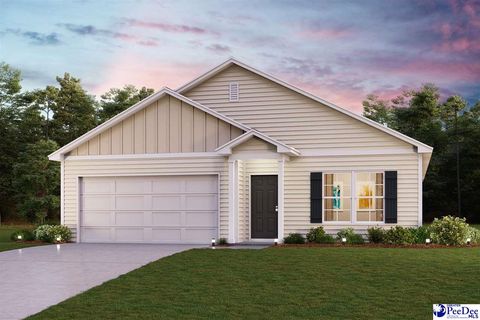 Single Family Residence in Darlington SC 5159 Shallowford.jpg