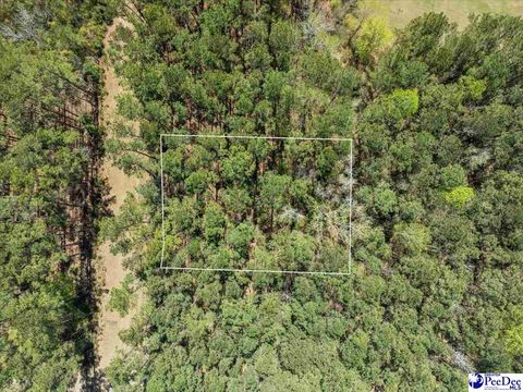 in Johnsonville SC TBD Lot 17 Otwell Drive.jpg