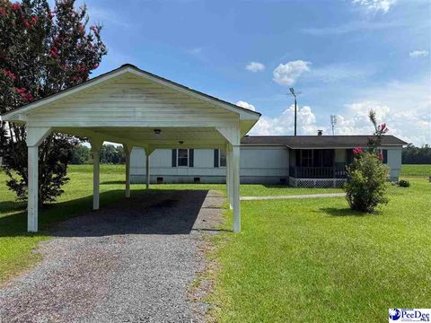 Manufactured Home in Hemingway SC 357 Loggers Rd.jpg