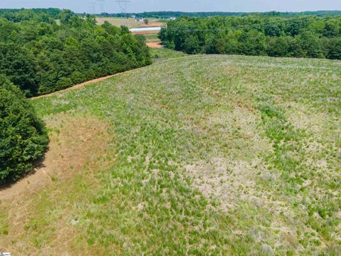 Agriculture in Chesnee SC 00B Cooley Springs School Road 8.jpg