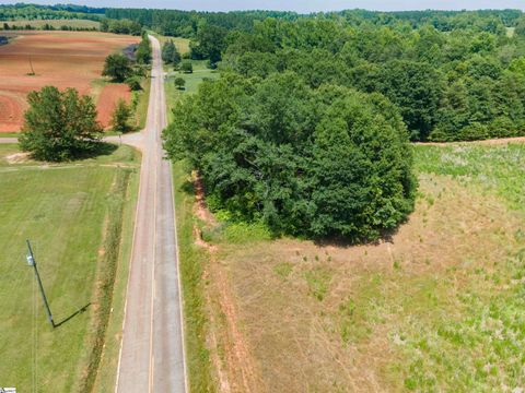 Agriculture in Chesnee SC 00B Cooley Springs School Road 7.jpg