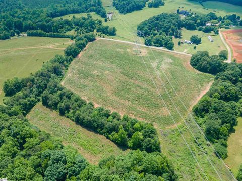 Agriculture in Chesnee SC 00B Cooley Springs School Road 11.jpg