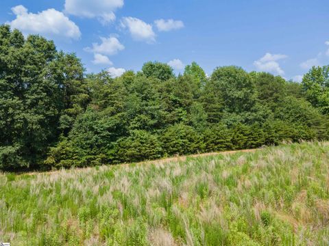 Agriculture in Chesnee SC 00B Cooley Springs School Road 3.jpg
