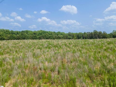 Agriculture in Chesnee SC 0 Cooley Springs Shchool Road.jpg