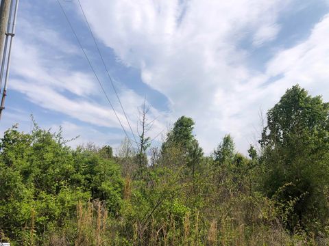  in Cowpens SC 0 Jamyn Road.jpg