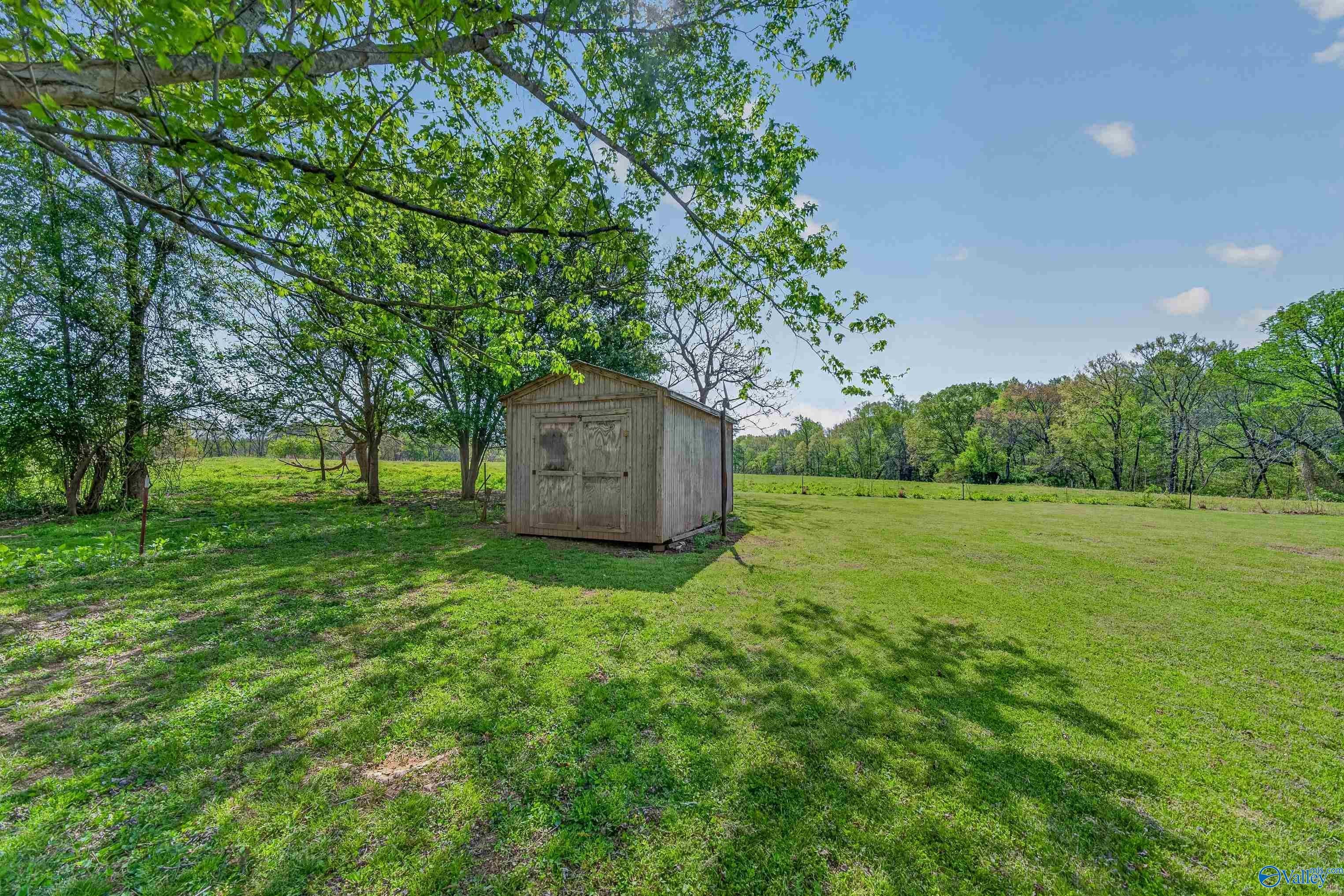 1101 Mint Spring Rd, New Market, AL 35761 photo