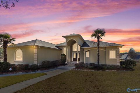Single Family Residence in Guntersville AL 5522 Cedar Mill Drive.jpg