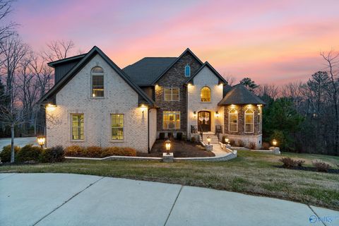 Single Family Residence in Huntsville AL 1 Sylvias Way.jpg