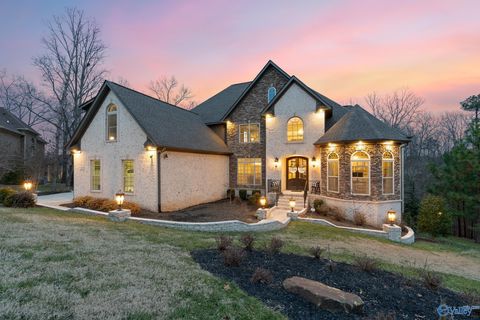 Single Family Residence in Huntsville AL 1 Sylvias Way.jpg