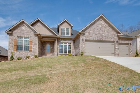 Single Family Residence in Huntsville AL 1309 Camellia Court Circle.jpg