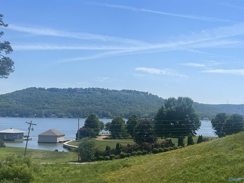  in Guntersville AL 93 Heritage Drive.jpg