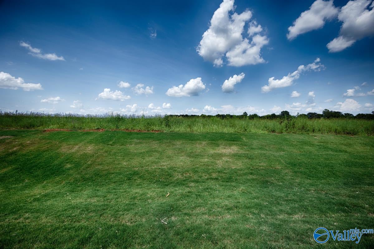 263 Avebury Rd, Meridianville, AL 35759 photo