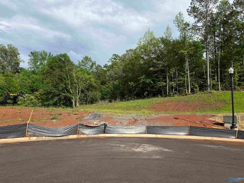 in Guntersville AL Lot 7 Tumbleweed Drive.jpg