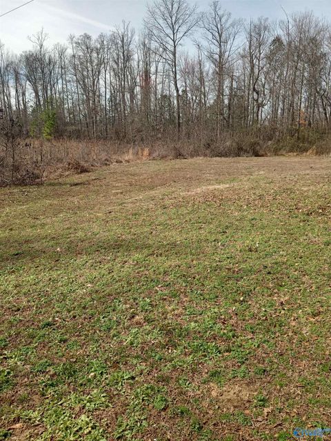  in Guntersville AL 2.6 acres Union Grove Road.jpg