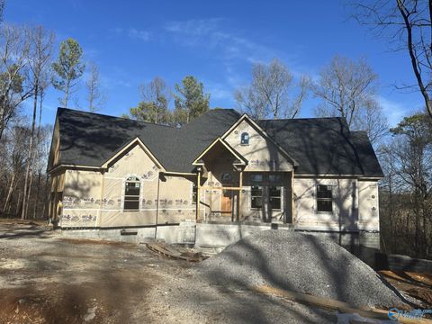 Single Family Residence in Huntsville AL 209 Earl Vaughn Drive.jpg