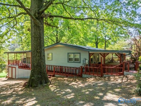 Single Family Residence in Guntersville AL 1671 Point Of Pines.jpg