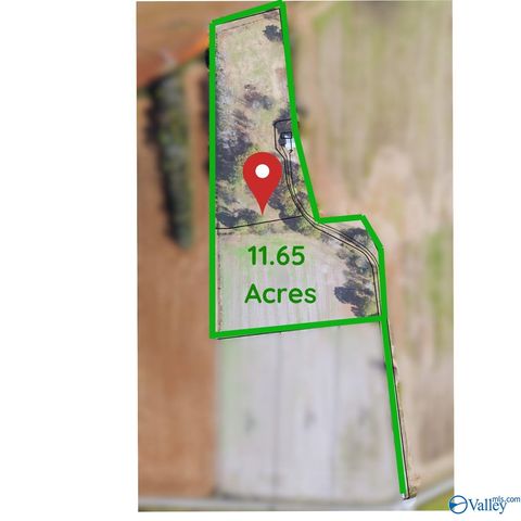  in New Market AL 431 A Narrow Lane.jpg