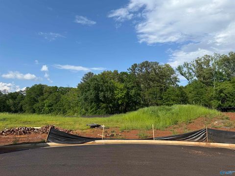 in Guntersville AL Lot 8 Tumbleweed Drive.jpg