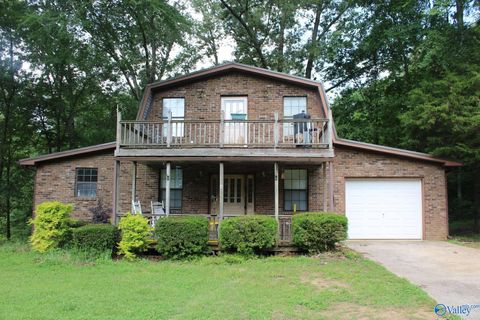 Single Family Residence in Guntersville AL 1780 Meltonsville Road.jpg