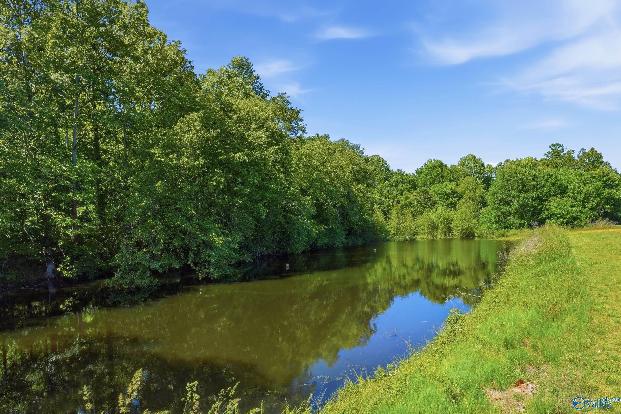 29060 Highway 53, Ardmore, AL 35739 photo