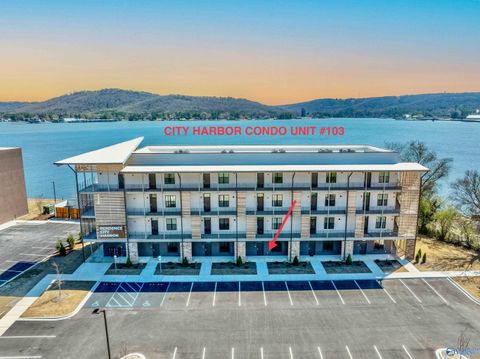 Condominium in Guntersville AL 2699 - 103 Paddle Wheel Drive #103.jpg