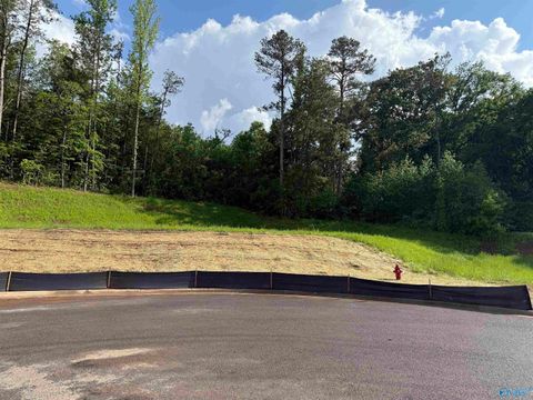 in Guntersville AL Lot 6 Tumbleweed Drive.jpg