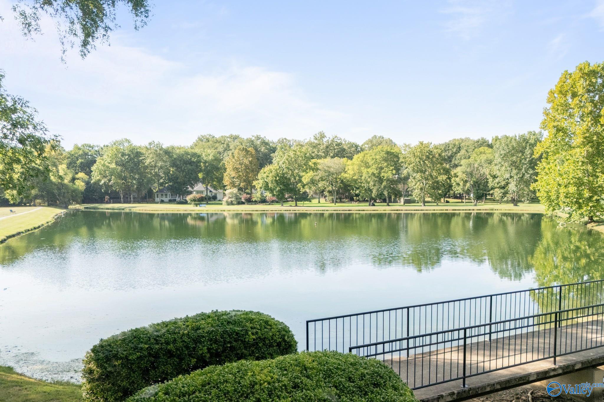 5007 Clearwater Creek Rd, Brownsboro, AL 35741